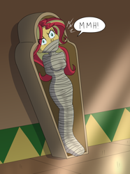 Size: 2976x4000 | Tagged: safe, artist:gregory-gid-did, sunset shimmer, human, equestria girls, g4, bondage, bound and gagged, cloth gag, commission, emanata, female, gag, kidnapped, muffled words, mummification, mummy, sarcophagus, solo