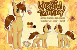 Size: 701x455 | Tagged: safe, artist:loviesophiee, oc, oc:wishful thinking, earth pony, pony, reference sheet