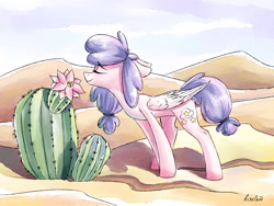 Size: 2800x2100 | Tagged: safe, artist:kiselan, oc, oc only, pegasus, pony, cactus, flower, high res, solo