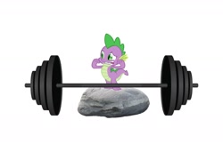 Size: 1800x1168 | Tagged: safe, spike, dragon, g4, party of one, barbell, flexing, rock, simple background, smiling, solo, weights, white background