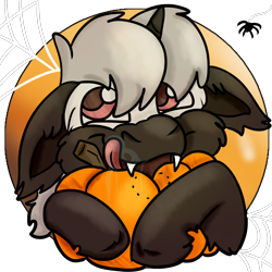 Size: 2000x2000 | Tagged: safe, artist:euspuche, oc, oc only, oc:pustka, bat pony, pony, spider, unicorn, biting, bust, eating, floppy ears, halloween, herbivore, high res, holiday, icon, male, portrait, pumpkin, simple background, spider web, tongue out, transparent background