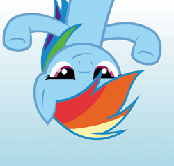 Size: 496x473 | Tagged: safe, alternate version, artist:awesomebrony, rainbow dash, pegasus, pony, g4, animated, australia, blue background, dancing, faic, female, gif, gradient background, looking at you, mare, moving, raised hooves, simple background, smug, smugdash, solo, upside down