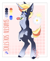 Size: 2035x2489 | Tagged: safe, artist:ezzerie, oc, oc only, oc:shasta solstice, pony, unicorn, bipedal, flower, flower in mouth, high res, male, mouth hold, reference sheet, solo, stallion, standing