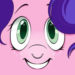 Size: 400x400 | Tagged: safe, artist:sleebyeba, oc, oc only, pony, close-up, face, female, grin, nose piercing, nose ring, not pipp petals, piercing, smiling