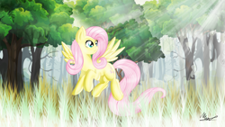Size: 1920x1080 | Tagged: safe, artist:michealsymson, fluttershy, pegasus, pony, g4, crepuscular rays, female, forest, solo