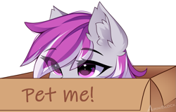 Size: 1283x823 | Tagged: safe, artist:airiniblock, oc, oc only, oc:silver storm, pegasus, pony, rcf community, behaving like a cat, box, ear fluff, eye, eye clipping through hair, eyebrows, eyebrows visible through hair, eyes, female, mare, pegasus oc, pony in a box, signature, simple background, solo, two toned mane, white background