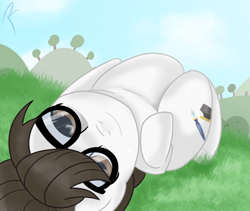 Size: 1280x1080 | Tagged: safe, artist:reinbou, writing desk, earth pony, pony, g4, glasses, grass, looking at you, solo