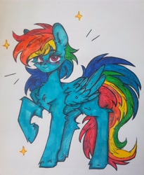 Size: 4096x4998 | Tagged: safe, artist:starkey, rainbow dash, pegasus, pony, g4, chest fluff, ear fluff, full body, raised hoof, smiling, smirk, solo, stars, traditional art