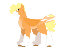 Size: 1280x854 | Tagged: safe, artist:itstechtock, oc, oc only, oc:sketch a. doodle, pegasus, pony, colored wings, male, multicolored wings, simple background, solo, stallion, transparent background, wings
