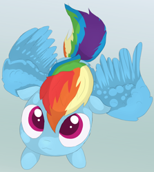 Size: 1268x1419 | Tagged: safe, artist:opal2023, rainbow dash, pegasus, pony, g4, cute, female, gradient background, high angle, mare, solo