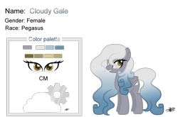 Size: 4544x3000 | Tagged: safe, artist:princessmoonsilver, oc, oc only, oc:cloudy gale, pegasus, pony, cutie mark, gradient mane, gradient tail, reference sheet, simple background, solo, tail, transparent background