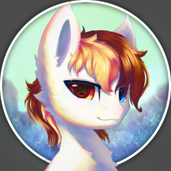 Size: 2000x2000 | Tagged: safe, artist:b_m, oc, oc only, oc:白冥, pegasus, pony, bust, communism, high res, male, multicolored eyes, solo