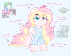 Size: 3018x2396 | Tagged: safe, artist:ninnydraws, oc, oc only, oc:ninny, pegasus, pony, clothes, female, high res, messy mane, minecraft, simple background, solo, sweater, teenager, text, unshorn fetlocks, younger