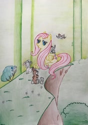 Size: 2540x3607 | Tagged: safe, artist:gracefulart693, fluttershy, pegasus, pony, rabbit, g4, animal, eyelashes, female, forest, high res, mare, outdoors, traditional art
