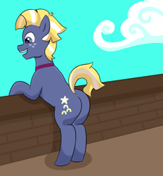 Size: 857x923 | Tagged: safe, artist:lotusflare, star tracker, earth pony, pony, g4, :d, airship, butt, cloud, freckles, happy, male, open mouth, open smile, plot, smiling, solo, stallion