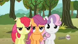 Size: 1472x828 | Tagged: safe, screencap, apple bloom, scootaloo, sweetie belle, earth pony, pegasus, pony, unicorn, g4, my little pony: friendship is magic, one bad apple, season 3, apple, apple bloom's bow, apple tree, bow, cutie mark crusaders, expressive bow, female, filly, foal, hair bow, tree