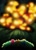 Size: 2484x3478 | Tagged: safe, artist:notfocks, part of a set, applejack, pinkie pie, rainbow dash, earth pony, pegasus, pony, g4, comic, explosion, high res