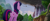 Size: 1920x804 | Tagged: safe, screencap, twilight sparkle, alicorn, pony, g4, my little pony: the movie, airship, butt, canterlot, female, mare, plot, scenery, solo, twibutt, twilight sparkle (alicorn), water, waterfall