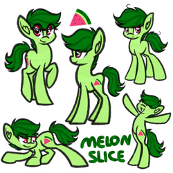 Size: 1024x1024 | Tagged: safe, artist:princessfaeron, oc, oc only, oc:melon slice, earth pony, pony, male, simple background, solo, stallion, white background