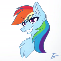 Size: 1920x1920 | Tagged: safe, artist:thefunnysmile, rainbow dash, pegasus, pony, g4, bust, chest fluff, ear fluff, portrait, simple background, smiling, smug, solo, white background