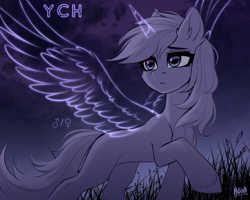 Size: 2500x2000 | Tagged: safe, artist:hakaina, oc, oc only, unnamed oc, alicorn, earth pony, pony, beautiful, chest fluff, colored, commission, concave belly, ear fluff, ethereal horn, ethereal wings, female, female symbol, frown, grass, high res, hoof fluff, leg fluff, lighting, male symbol, mare, night, night sky, outdoors, raised hoof, shading, shiny eyes, signature, sketch, sky, slender, solo, standing, tail, thin, turned head, unshorn fetlocks, windswept mane, windswept tail, wings, ych sketch, your character here
