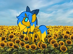 Size: 620x462 | Tagged: safe, artist:natashaukrayina, oc, oc:ukraine, pony, unicorn, flower, nation ponies, ponified, solo, sunflower, ukraine