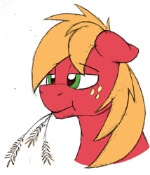 Size: 1477x1723 | Tagged: safe, artist:sefastpone, big macintosh, earth pony, pony, bust, chewing, colored sketch, eating, freckles, male, simple background, solo, stallion, straw in mouth, white background