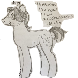 Size: 1000x1000 | Tagged: safe, artist:heartwoozy, earth pony, pony, grayscale, jerma985, male, monochrome, open mouth, open smile, ponified, smiling, solo, stallion, traditional art