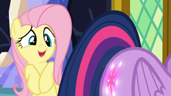 Size: 1920x1080 | Tagged: safe, screencap, fluttershy, twilight sparkle, alicorn, pegasus, pony, g4, season 5, the hooffields and mccolts, 1080p, booty call, butt, cutie mark, duo, duo female, female, folded wings, glowing cutie mark, look at my butt, mare, multicolored tail, offscreen character, open mouth, out of context, plot, tail, twibutt, twilight sparkle (alicorn), twilight's castle, wings