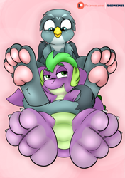 Size: 1611x2286 | Tagged: safe, artist:theinspiredsphynx, gabby, spike, g4, cuddling, eyebrows, featureless crotch, feet, female, fetish, foot fetish, leaning back, looking at each other, looking at someone, looking at you, looking down, male, patreon, patreon logo, patreon reward, paw pads, paws, pink background, raised eyebrow, ship:spabby, shipping, simple background, sitting, smiling, straight, toe beans, underpaw