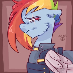 Size: 2048x2033 | Tagged: safe, artist:dmitrymemovznok, rainbow dash, pegasus, pony, g4, alternate timeline, clothes, frown, high res, solo