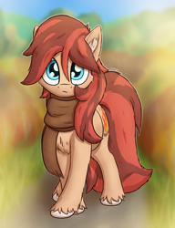 Size: 1500x1950 | Tagged: safe, artist:litrojia, oc, oc only, oc:cottonwood kindle, earth pony, pony, autumn, big tail, cheek fluff, chest fluff, clothes, ear fluff, earth pony oc, front view, looking at you, male, scarf, solo, stallion, tail, unshorn fetlocks