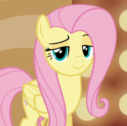 Size: 970x966 | Tagged: safe, screencap, fluttershy, pegasus, pony, g4, season 6, viva las pegasus, animated, cropped, cute, eyebrows, eyelashes, female, folded wings, happy, las pegasus scrunchyshy, looking at you, mare, no sound, reaction image, scrunchy face, shyabetes, smiling, smugshy, solo, weapons-grade cute, webm, wings
