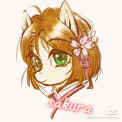 Size: 1280x1280 | Tagged: safe, artist:eternal197, earth pony, pony, bust, cardcaptor sakura, flower, flower in hair, ponified, portrait, sakura kinomoto, solo