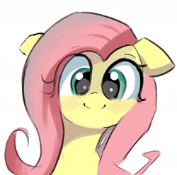 Size: 1802x1787 | Tagged: safe, artist:solid shrimp, fluttershy, pegasus, pony, g4, bust, cute, eye clipping through hair, female, floppy ears, looking at you, mare, portrait, shyabetes, simple background, smiling, smiling at you, solo, white background