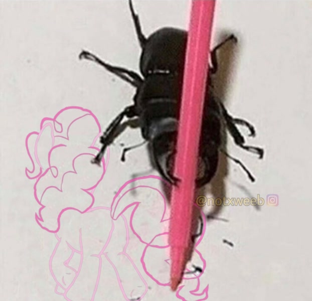 3041092 - safe, artist:sidorovich, edit, editor:notxweeb, pinkie pie, beetle,  earth pony, insect, pony, stag beetle, balloonbutt, butt, creepy, draw,  female, irl, mare, meme, photo, plot, ponies in real life, watermark -  Derpibooru