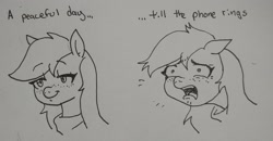 Size: 2048x1062 | Tagged: safe, artist:pony quarantine, earth pony, pony, 2 panel comic, comic, female, freckles, grayscale, mare, monochrome, open mouth, solo, text, traditional art