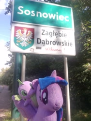 Size: 3024x4032 | Tagged: safe, artist:kuba18i, spike, twilight sparkle, alicorn, dragon, pony, g4, dragons riding ponies, irl, outdoors, photo, plushie, poland, polish, ponies around the world, ponies in real life, pony plushie, riding, road, road sign, sosnowiec, tree, twilight sparkle (alicorn)