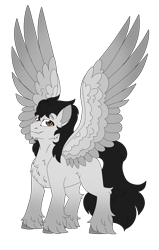 Size: 3417x5385 | Tagged: safe, artist:crazysketch101, oc, oc only, oc:axel greese, pegasus, pony, chest fluff, simple background, solo, spread wings, transparent background, unshorn fetlocks, wings