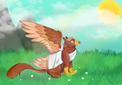 Size: 2360x1640 | Tagged: safe, artist:marsbars3365, oc, oc only, oc:pavlos, griffon, broken bone, broken wing, cast, chest fluff, colored wings, eared griffon, grass, griffon oc, injured, one wing out, outdoors, sad, sling, wings