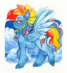 Size: 850x920 | Tagged: safe, artist:nekophoenix, rainbow dash, pegasus, pony, alternate hairstyle, chest fluff, ear piercing, earring, jewelry, leg fluff, piercing, solo, traditional art, watercolor painting