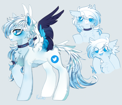 Size: 3500x3000 | Tagged: safe, artist:kefirro7, pegasus, pony, admiration, cheek fluff, chest fluff, collar, concave belly, ear fluff, floppy ears, hairband, high res, looking away, male, open mouth, ponified, raised hoof, simple background, slender, solo, spread wings, stallion, tail, tail feathers, thin, twitter, wing fluff, wings