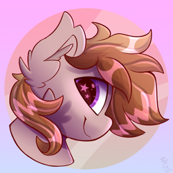 Size: 2500x2500 | Tagged: safe, artist:starcasteclipse, oc, oc only, earth pony, pony, high res, starry eyes, wingding eyes