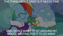 Size: 1920x1080 | Tagged: safe, edit, edited screencap, editor:quoterific, screencap, rainbow dash, tank, g4, tanks for the memories, clothes, dashie slippers, doctor who, slippers