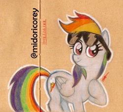 Size: 1100x1002 | Tagged: safe, artist:midoricorey, rainbow dash, pegasus, pony, g4, solo, traditional art