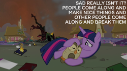 Size: 1920x1080 | Tagged: safe, edit, edited screencap, editor:quoterific, screencap, owlowiscious, twilight sparkle, alicorn, bird, owl, pony, g4, my little pony: friendship is magic, twilight's kingdom, book, doctor who, duo, fire, golden oaks library, twilight sparkle (alicorn)