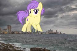 Size: 2048x1367 | Tagged: safe, anonymous editor, artist:cheezedoodle96, edit, berry sweet, earth pony, pony, g4, background pony, cuba, female, friendship student, giant pony, giant/macro earth pony, giantess, havana, highrise ponies, irl, looking at you, macro, mare, mega giant, photo, ponies in real life, smiling, solo