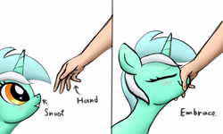Size: 5000x3000 | Tagged: safe, artist:littlenaughtypony, lyra heartstrings, human, pony, unicorn, g4, cute, eyes closed, hand, horses doing horse things, lyrabetes, simple background, smiling, snoot, that pony sure does love hands, whiskers, white background, wholesome
