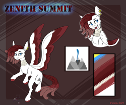 Size: 3000x2500 | Tagged: safe, artist:celes-969, oc, oc only, pegasus, pony, high res, pegasus oc, reference sheet, solo