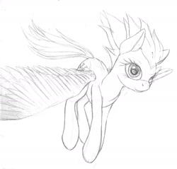 Size: 1600x1530 | Tagged: safe, artist:styroponyworks, fleetfoot, pegasus, pony, g4, monochrome, simple background, sketch, solo, spread wings, traditional art, white background, wings